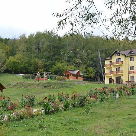Pensiunea Lavinia Calvini Exterior foto