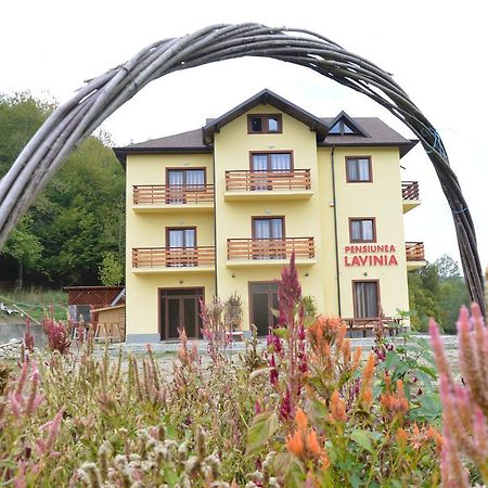 Pensiunea Lavinia Calvini Exterior foto